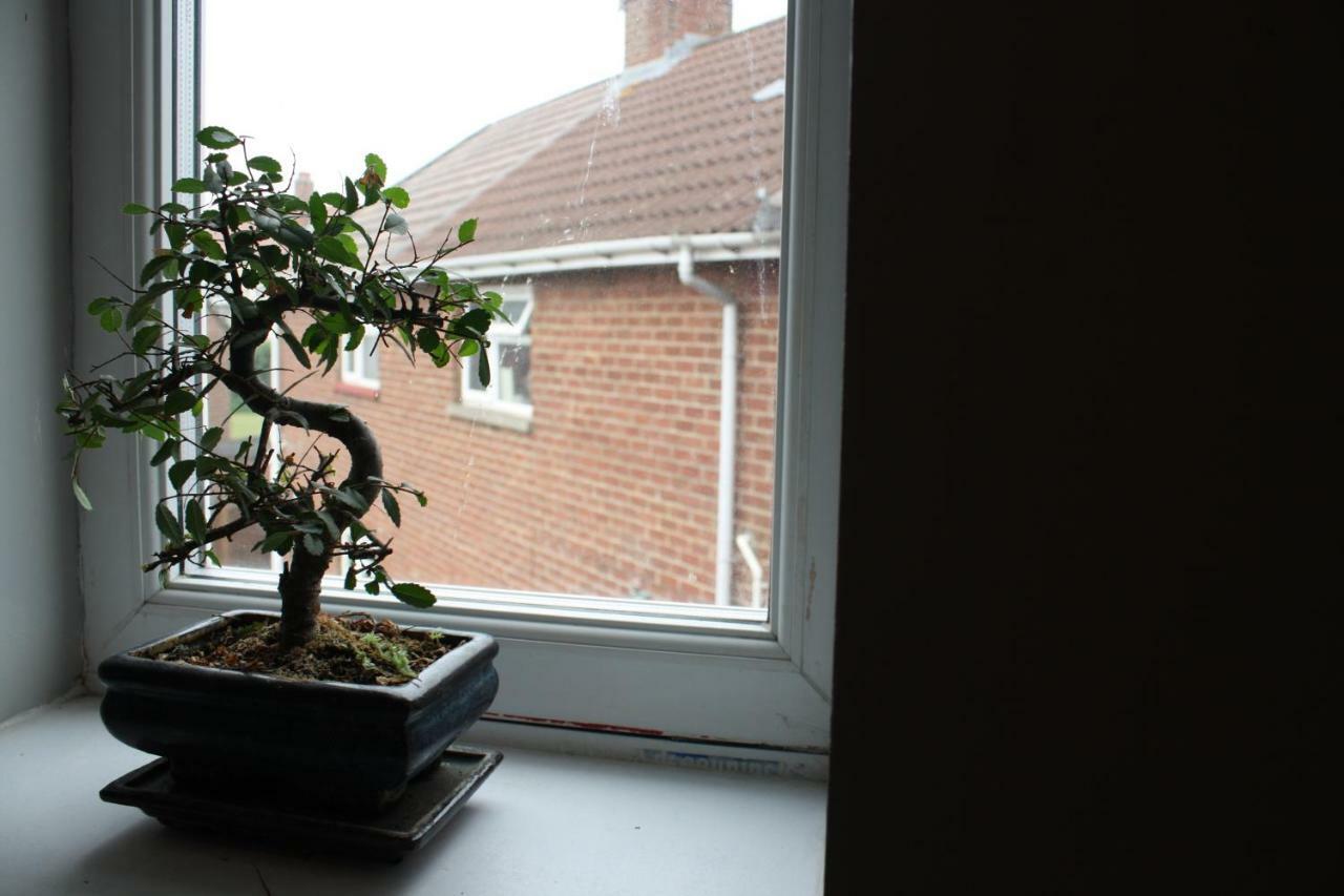Af's Homestay Homestay Bristol
